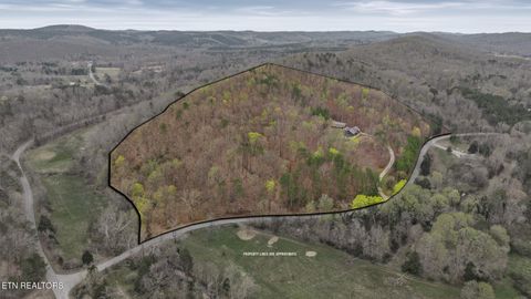 Tiny photo for 2476 Guinn Narrows Rd, Decatur, TN 37322 (MLS # 1295437)