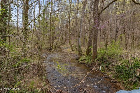 Tiny photo for 2476 Guinn Narrows Rd, Decatur, TN 37322 (MLS # 1295437)