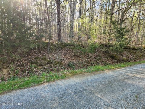 Tiny photo for 2476 Guinn Narrows Rd, Decatur, TN 37322 (MLS # 1295437)