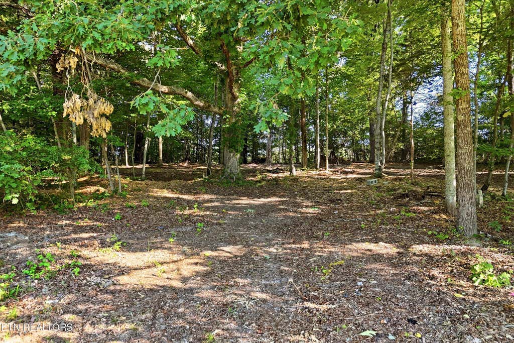 Photo of 0 Daniels Rd #A, Knoxville, TN 37938 (MLS # 1343995)