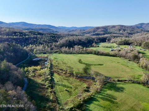 Photo of 5640 Brimstone Rd, Robbins, TN 37852 (MLS # 1336534)