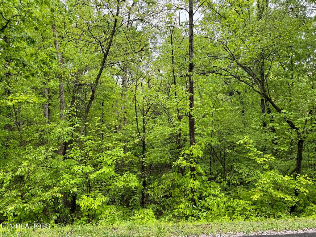 Photo of 104 Chanusi Way, Loudon, TN 37774 (MLS # 1330523)