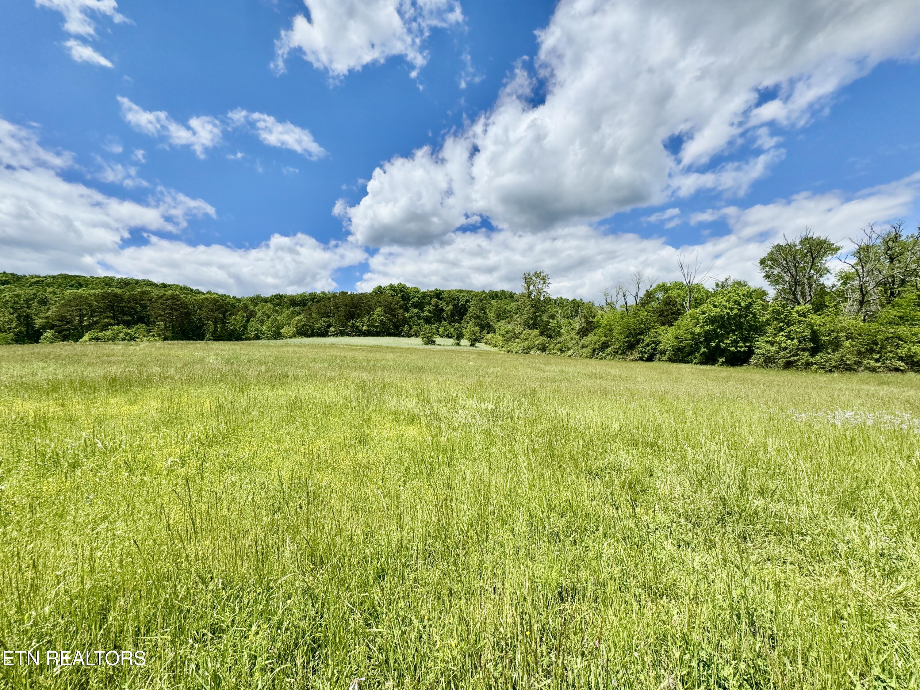 E Raccoon Valley Drive