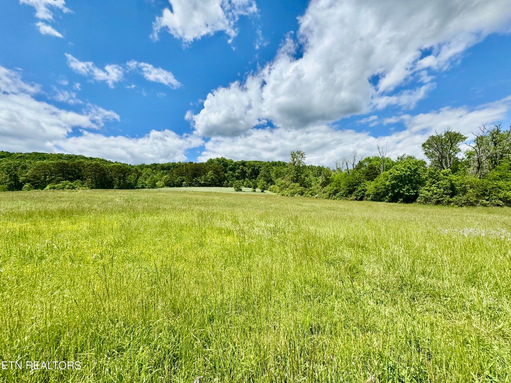 Photo of E Raccoon Valley Drive, Heiskell, TN 37754 (MLS # 1301152)