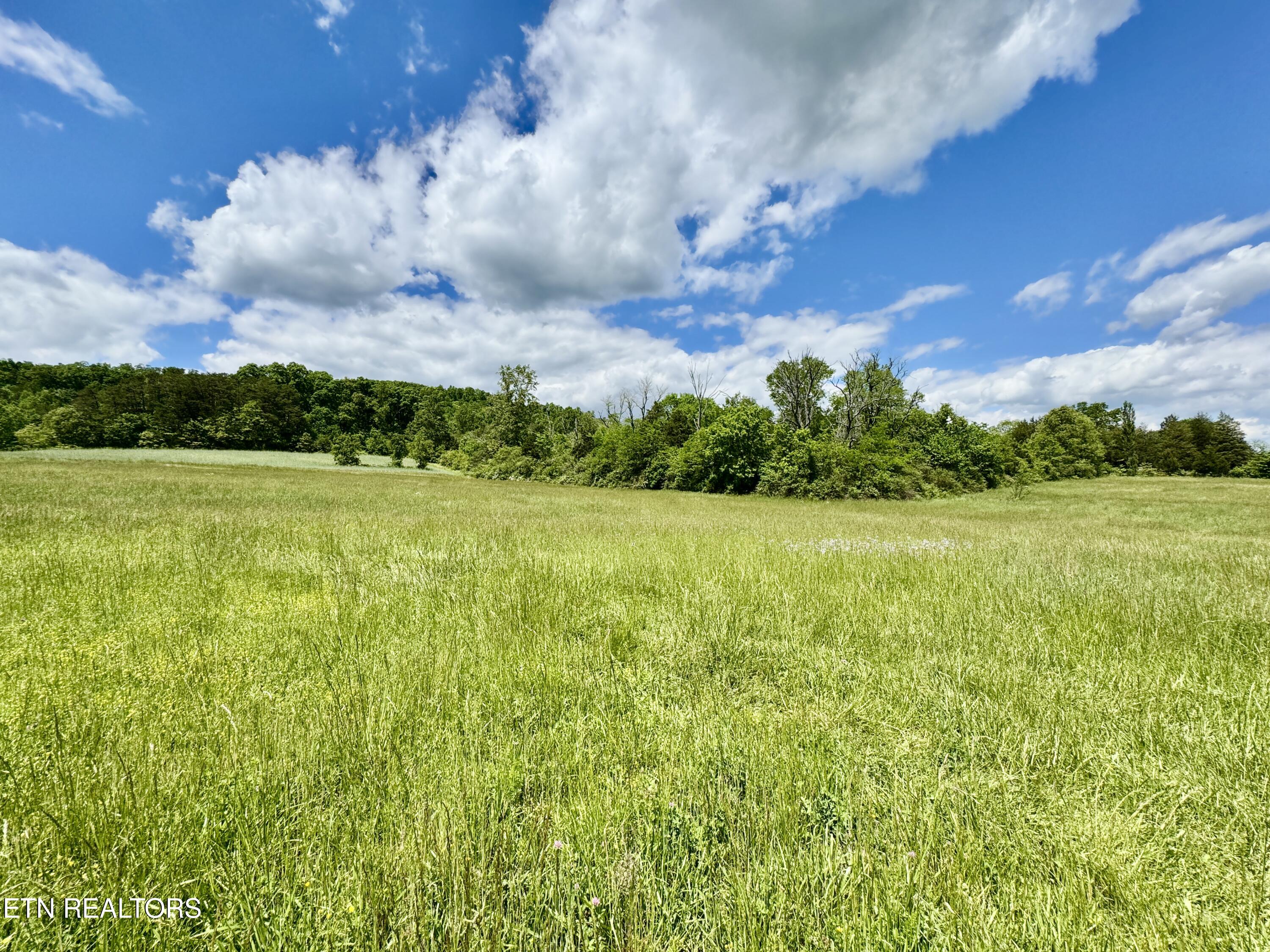 E Raccoon Valley Drive