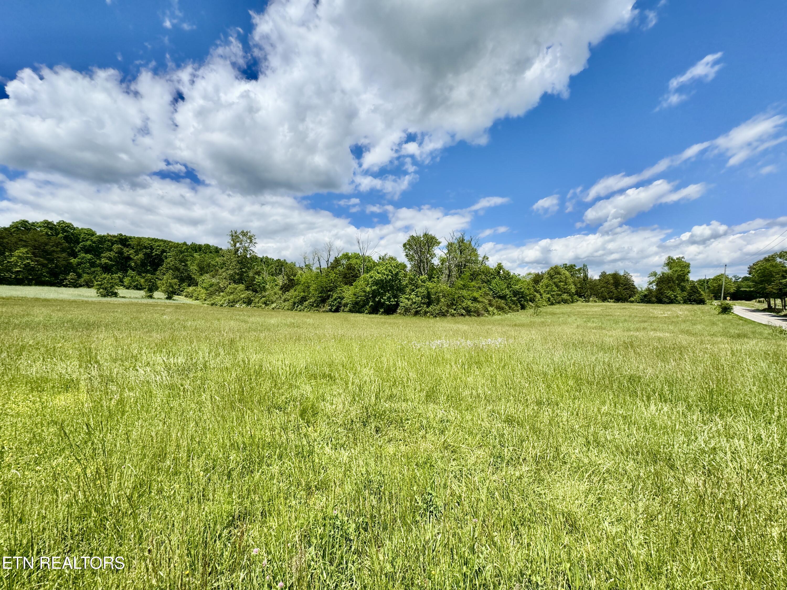 E Raccoon Valley Drive