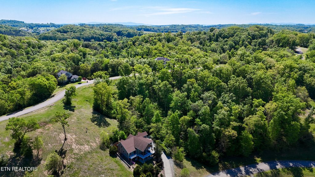 Photo of 2025 Turner Landing Rd, Russellville, TN 37860 (MLS # 1342145)