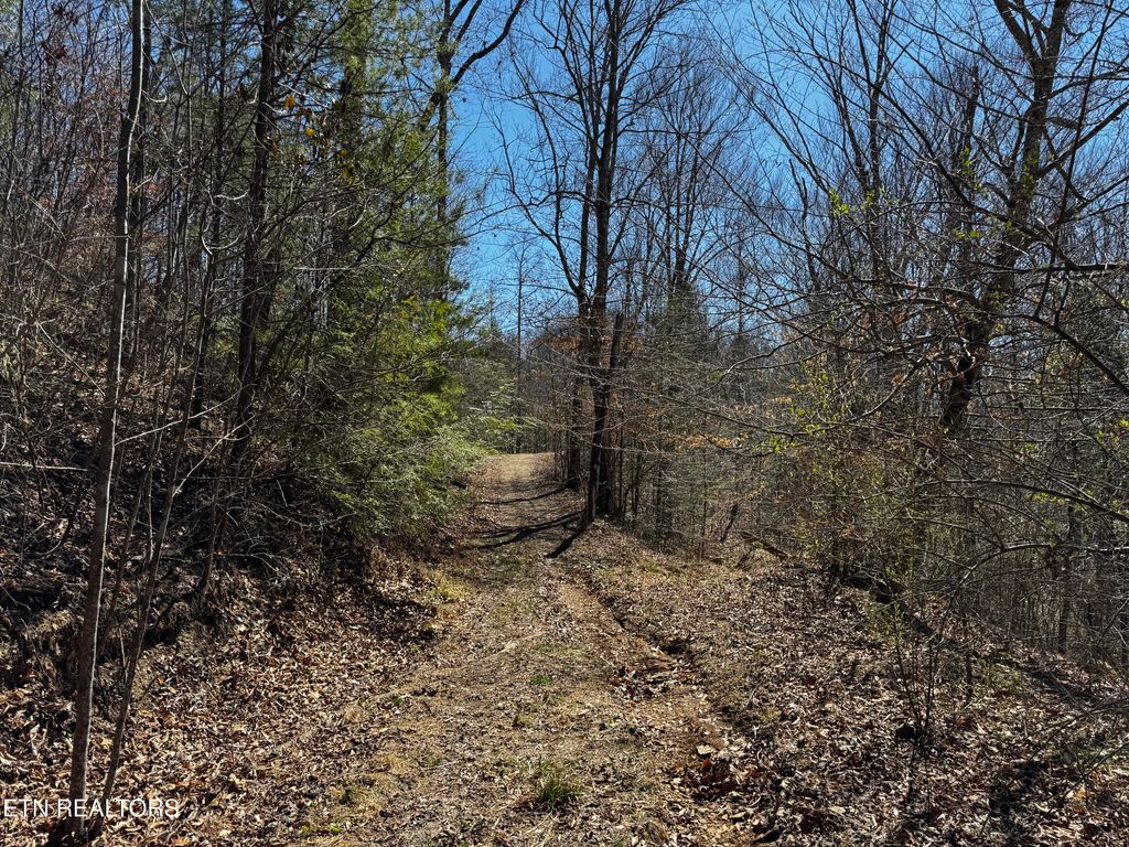 Photo of Melvin Hollow Rd, Pioneer, TN 37847 (MLS # 1305423)