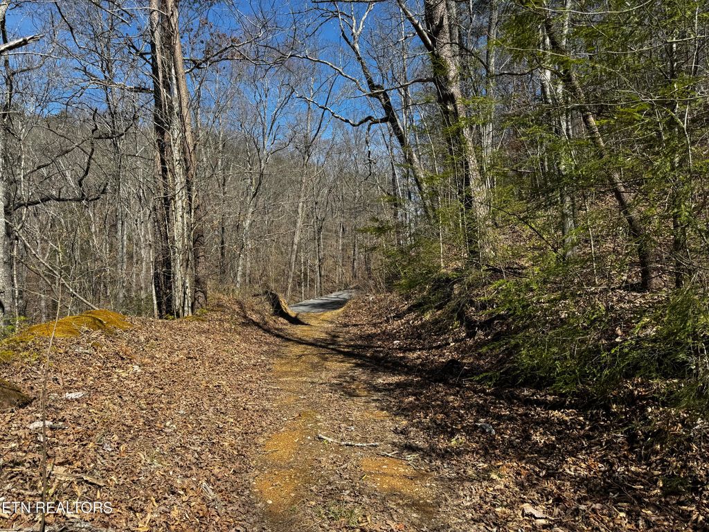 Photo of Melvin Hollow Rd, Pioneer, TN 37847 (MLS # 1305423)