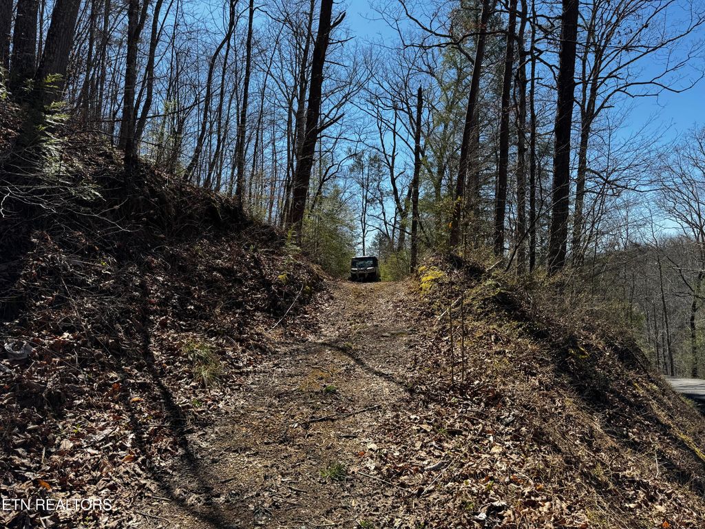 Photo of Melvin Hollow Rd, Pioneer, TN 37847 (MLS # 1305423)