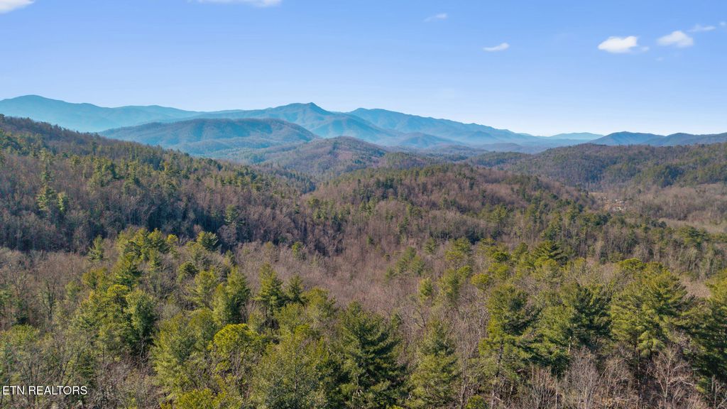 Photo of 4855 Teague Branch Rd, Hartford, TN 37753 (MLS # 1325620)