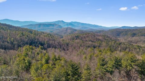 Photo of 4855 Teague Branch Rd, Hartford, TN 37753 (MLS # 1325620)