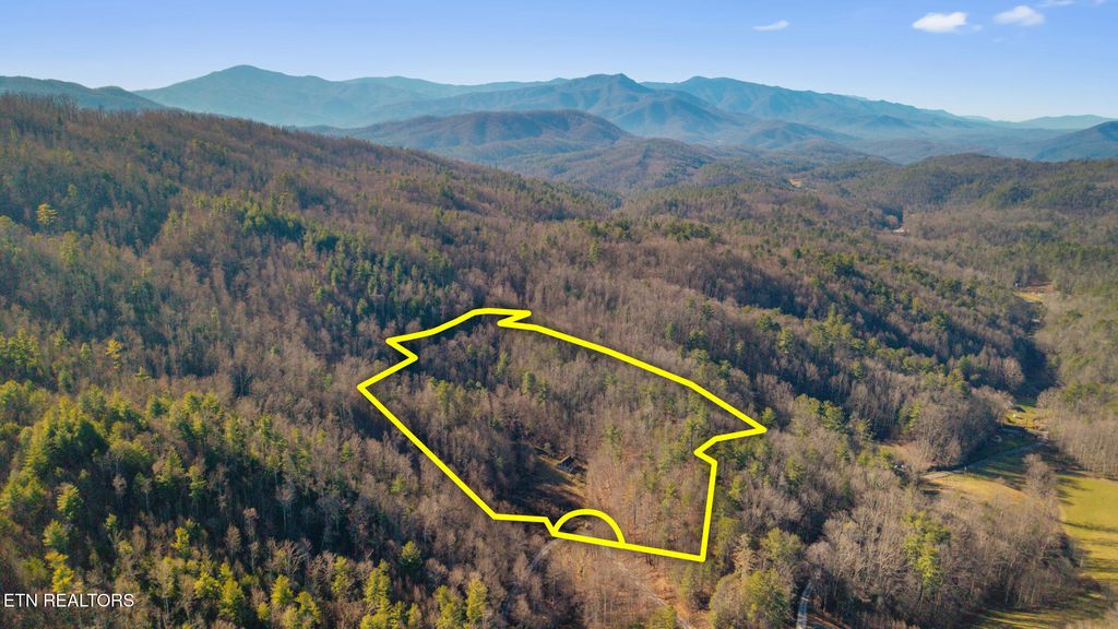 Photo of 4855 Teague Branch Rd, Hartford, TN 37753 (MLS # 1325620)