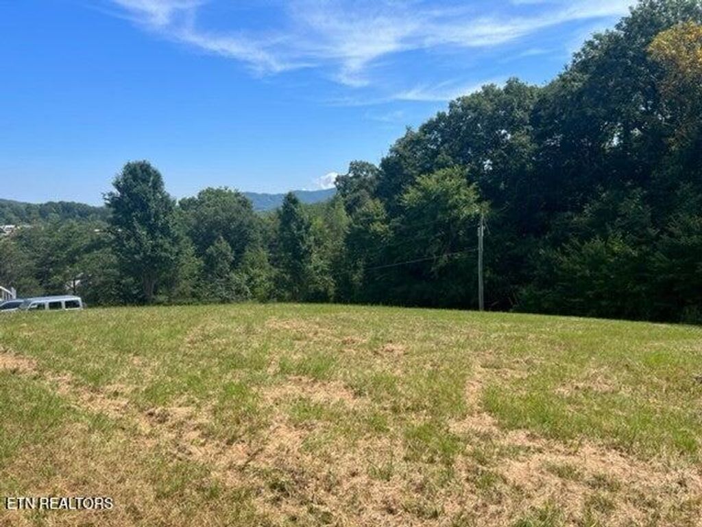 Photo of 21 Westover Drive, Sevierville, TN 37862 (MLS # 1317193)