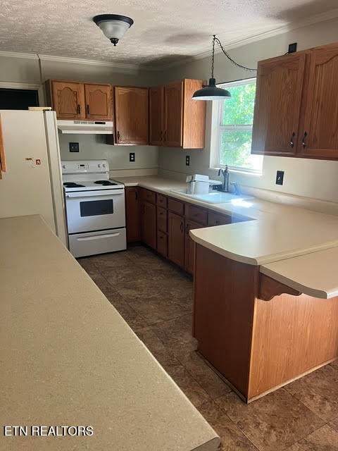 Photo of 120 Hillwood Drive, Harriman, TN 37748 (MLS # 1359625)