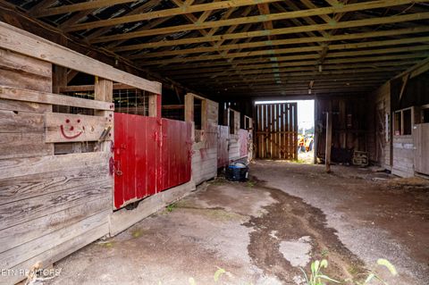 Tiny photo for 346 Christenson Rd, Deer Lodge, TN 37726 (MLS # 1332388)