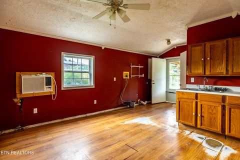 Tiny photo for 346 Christenson Rd, Deer Lodge, TN 37726 (MLS # 1332388)
