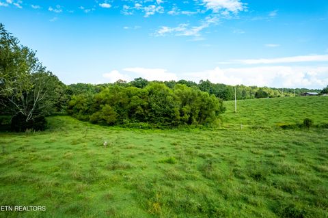 Tiny photo for 346 Christenson Rd, Deer Lodge, TN 37726 (MLS # 1332388)