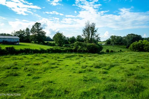 Tiny photo for 346 Christenson Rd, Deer Lodge, TN 37726 (MLS # 1332388)