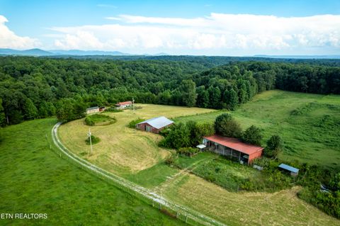 Tiny photo for 346 Christenson Rd, Deer Lodge, TN 37726 (MLS # 1332388)