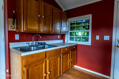 Tiny photo for 346 Christenson Rd, Deer Lodge, TN 37726 (MLS # 1332388)