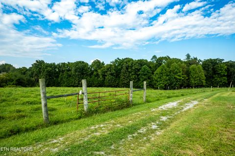 Tiny photo for 346 Christenson Rd, Deer Lodge, TN 37726 (MLS # 1332388)