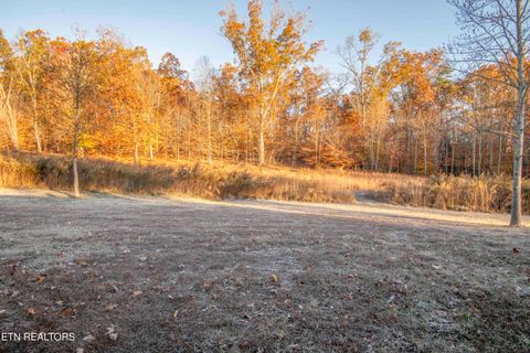 Tiny photo for 256 County Road 704, Athens, TN 37303 (MLS # 1321936)