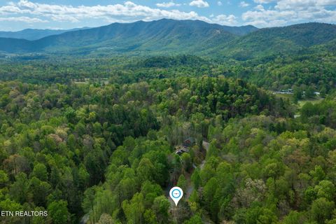 Tiny photo for 407 Kurts Corner Rd, Townsend, TN 37882 (MLS # 1336985)