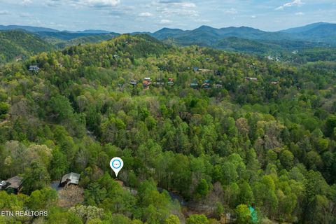 Tiny photo for 407 Kurts Corner Rd, Townsend, TN 37882 (MLS # 1336985)