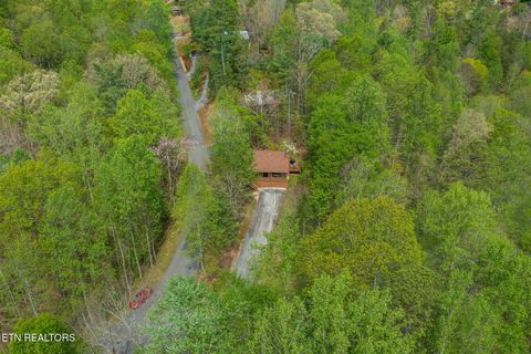Tiny photo for 407 Kurts Corner Rd, Townsend, TN 37882 (MLS # 1336985)