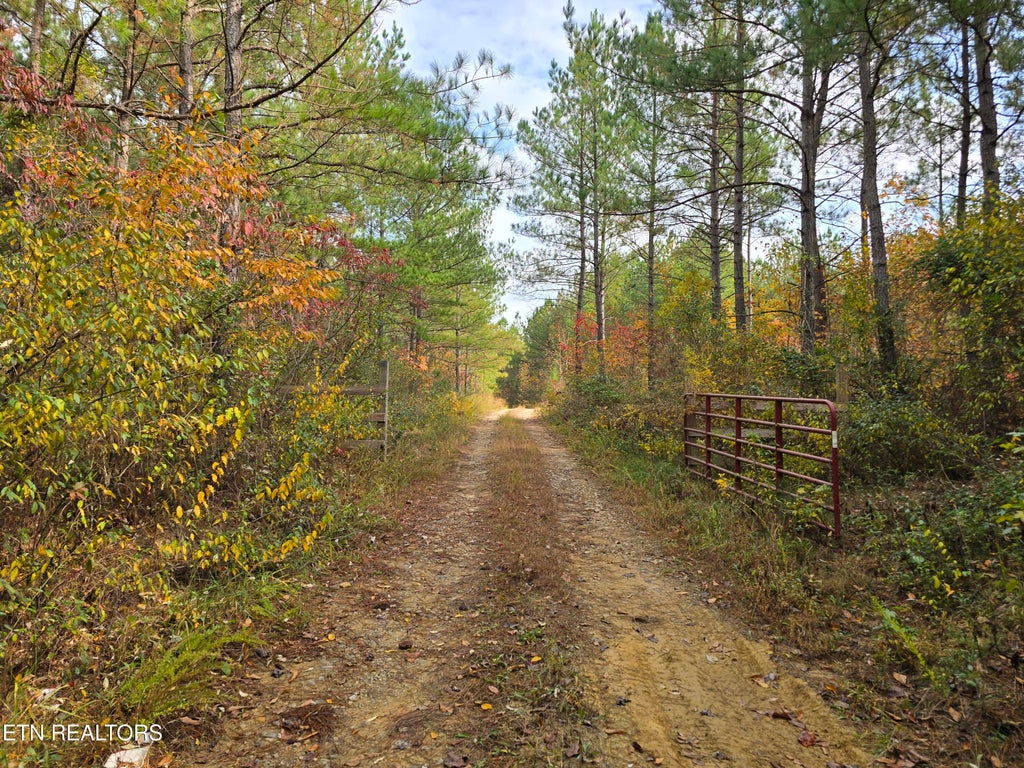 Photo of 4 W Robbins Rd, Robbins, TN 37852 (MLS # 1282222)