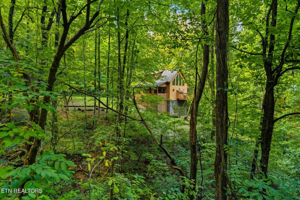 Photo of 3163 Sourwood Way, Sevierville, TN 37862 (MLS # 1354169)