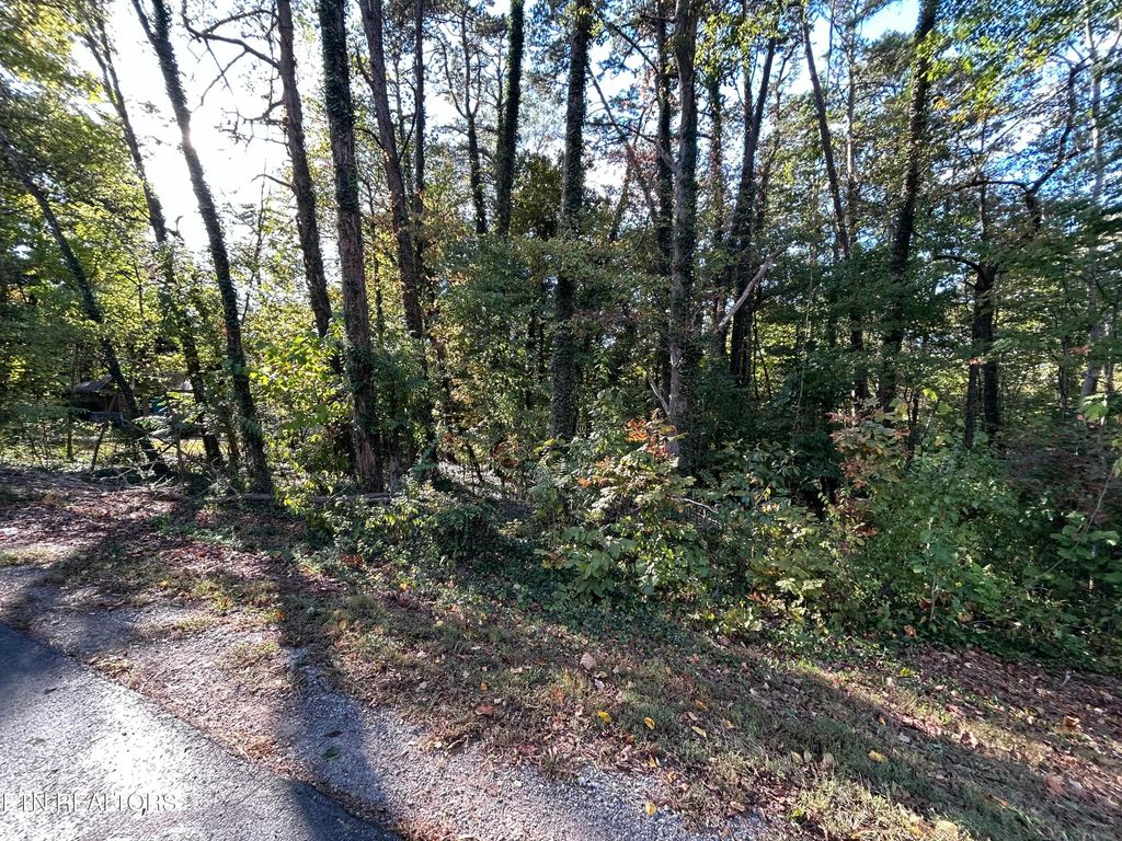 Photo of 218 Oostanali Way, Loudon, TN 37774 (MLS # 1318567)
