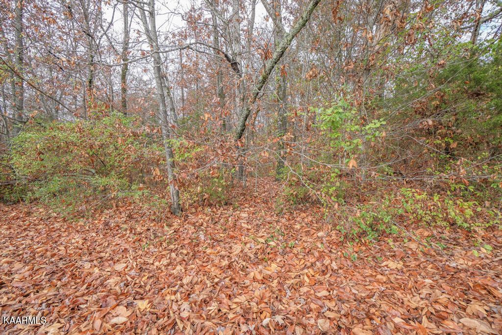 Photo of 2224 W Ridgewood Drive, Louisville, TN 37777 (MLS # 1212011)