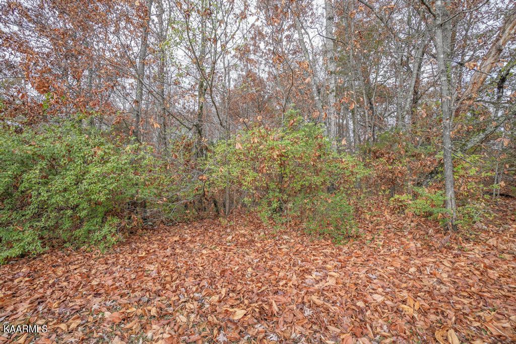 Photo of 2224 W Ridgewood Drive, Louisville, TN 37777 (MLS # 1212011)