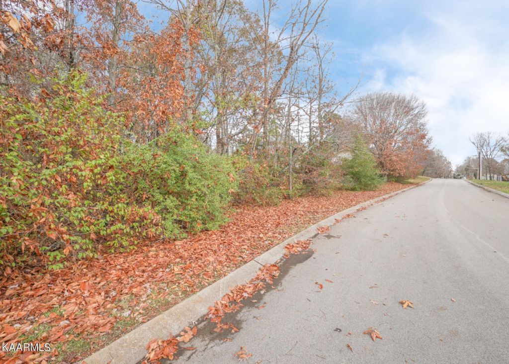 Photo of 2224 W Ridgewood Drive, Louisville, TN 37777 (MLS # 1212011)