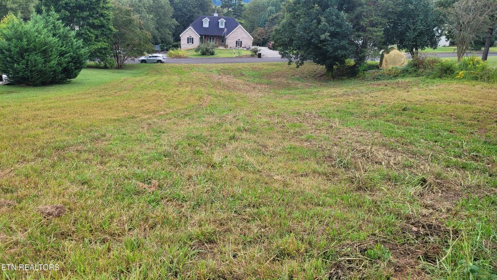 Photo of 485 Bona Vista Lane, Lenoir City, TN 37771 (MLS # 1316629)