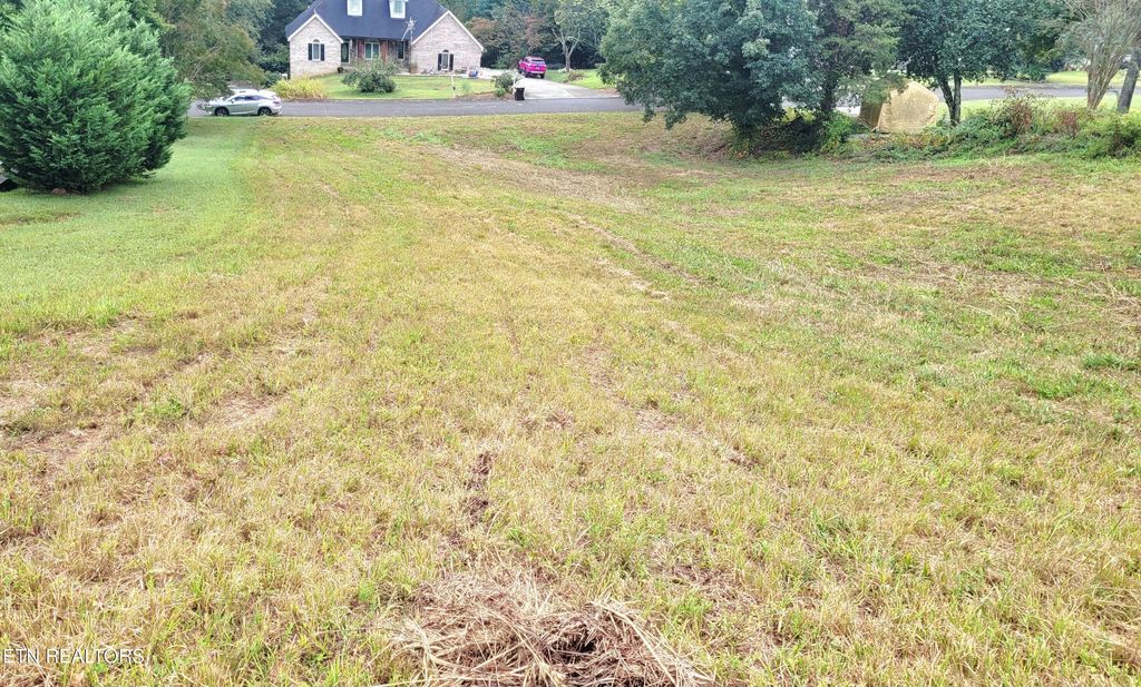 Photo of 485 Bona Vista Lane, Lenoir City, TN 37771 (MLS # 1316629)