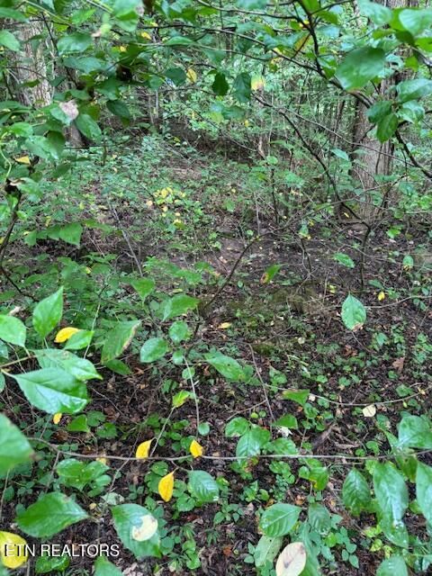 Tiny photo for 1 Timber Lake Drive, Cosby, TN 37722 (MLS # 1329640)