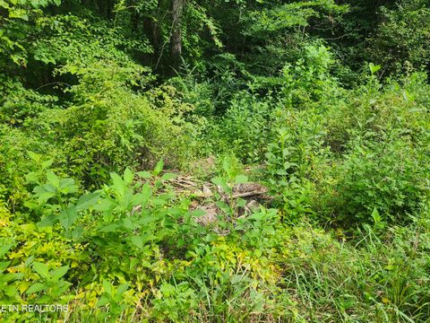 Tiny photo for 1 Timber Lake Drive, Cosby, TN 37722 (MLS # 1329640)