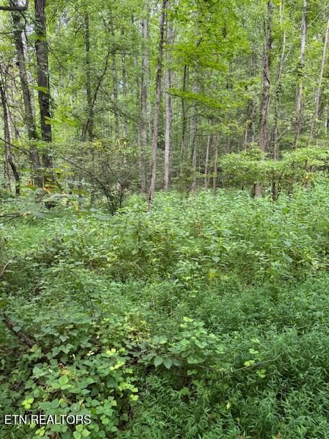 Tiny photo for 1 Timber Lake Drive, Cosby, TN 37722 (MLS # 1329640)