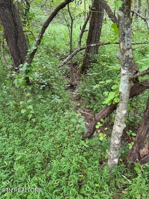 Tiny photo for 1 Timber Lake Drive, Cosby, TN 37722 (MLS # 1329640)