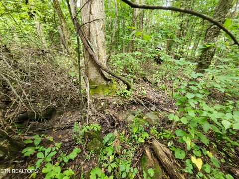 Tiny photo for 1 Timber Lake Drive, Cosby, TN 37722 (MLS # 1329640)