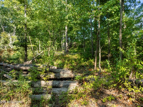 Tiny photo for 3951 Strong Rd, Mascot, TN 37806 (MLS # 1356275)