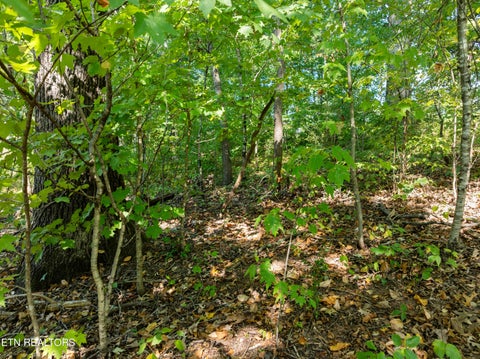 Tiny photo for 3951 Strong Rd, Mascot, TN 37806 (MLS # 1356275)
