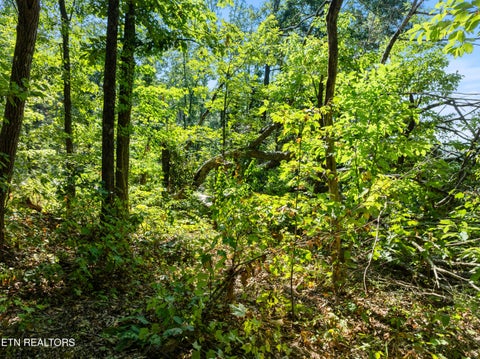 Tiny photo for 3951 Strong Rd, Mascot, TN 37806 (MLS # 1356275)