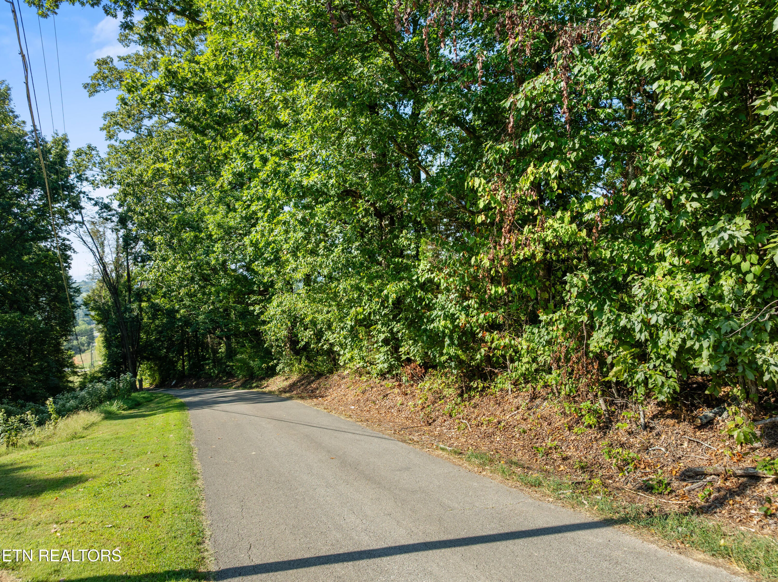 3951 Strong Rd
