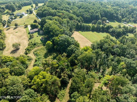 Tiny photo for 3951 Strong Rd, Mascot, TN 37806 (MLS # 1356275)
