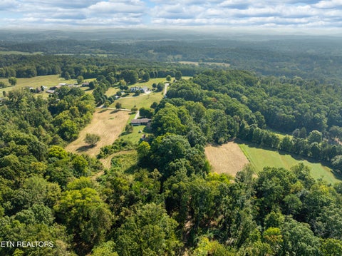 Tiny photo for 3951 Strong Rd, Mascot, TN 37806 (MLS # 1356275)
