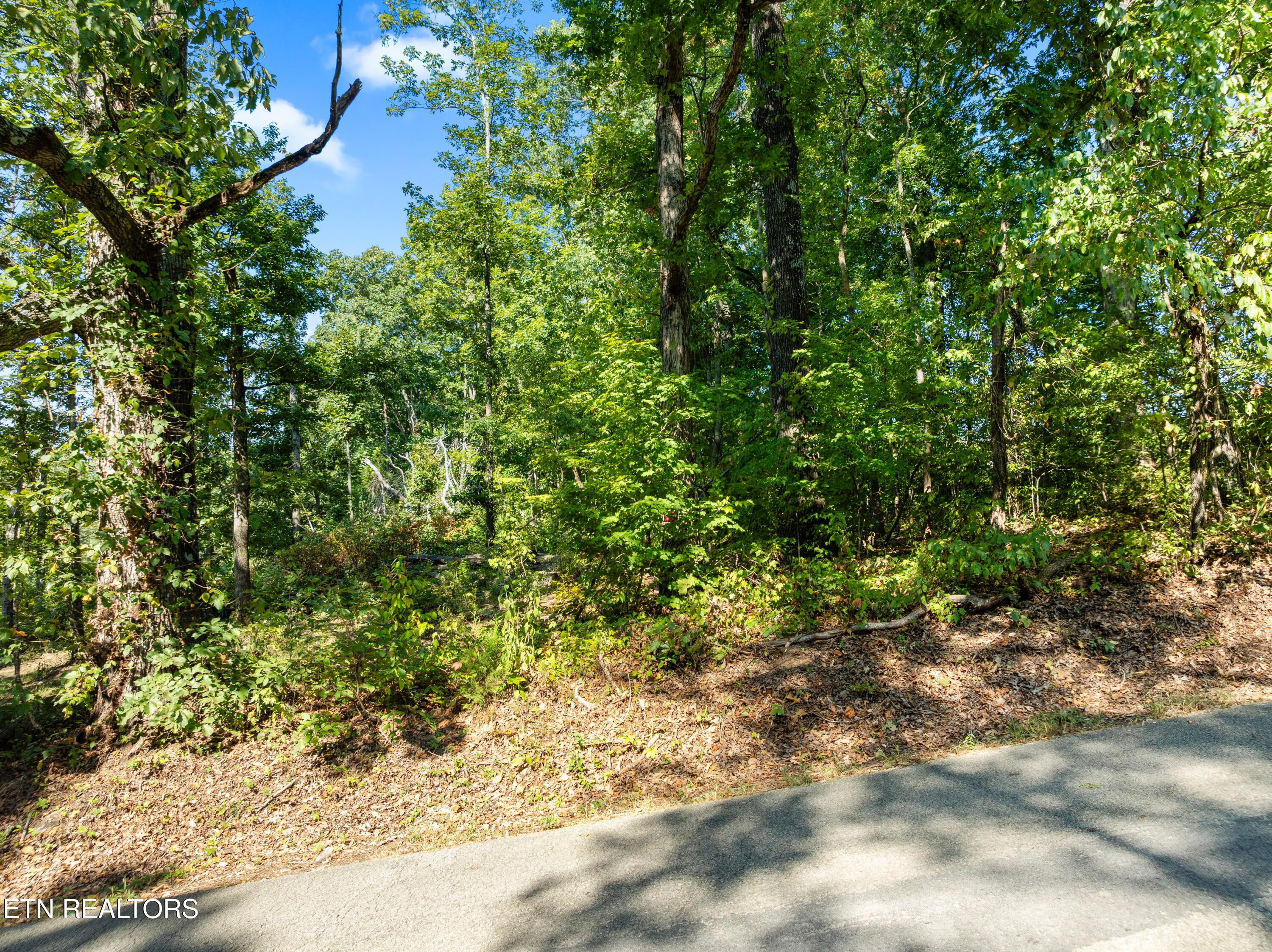 3951 Strong Rd
